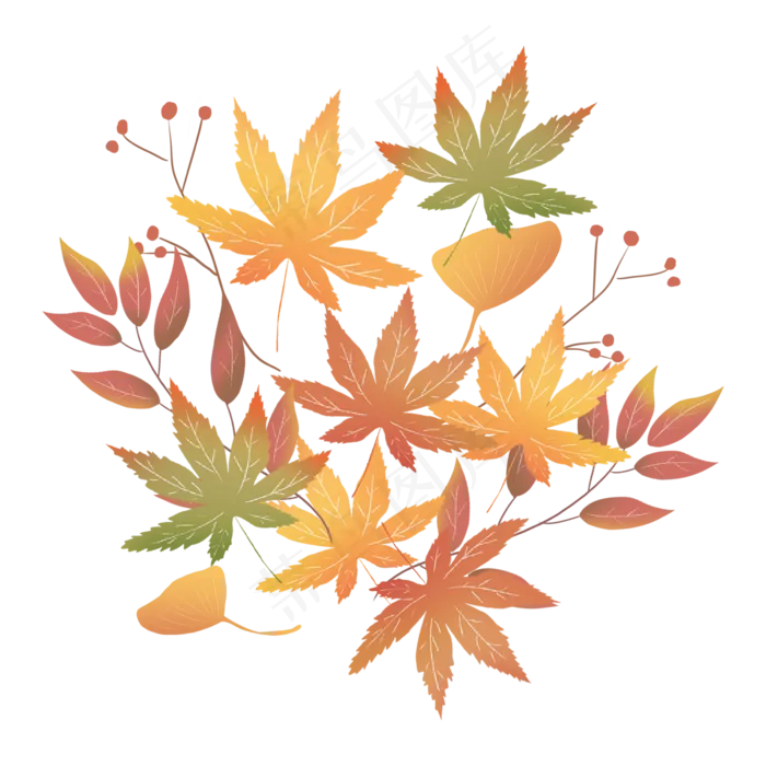 枫叶树叶落叶秋天树枝银杏叶(2362X2362(DPI:300))psd模版下载