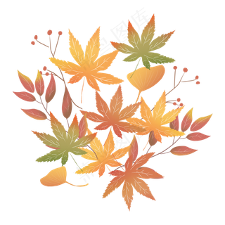 枫叶树叶落叶秋天树枝银杏叶