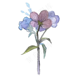 蓝紫色系花束花朵免扣