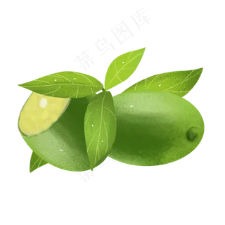 手绘水果png素材 手绘水果png素材