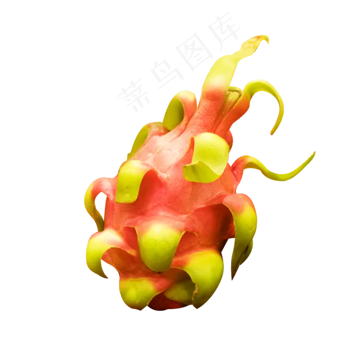 火龙果水果(2000X2000(DPI:300))psd模版下载