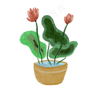 室内观赏荷花盆景免抠创意插图