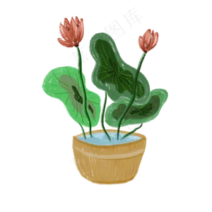 室内观赏荷花盆景免抠创意插图