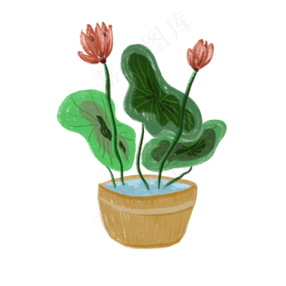 室内观赏荷花盆景免抠创意插图