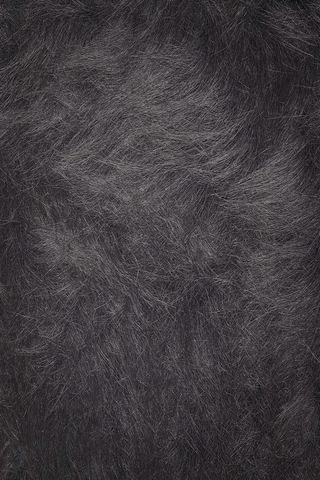 黑色动物皮毛质感