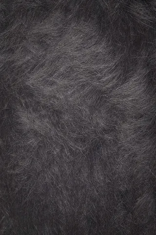 黑色动物皮毛质感