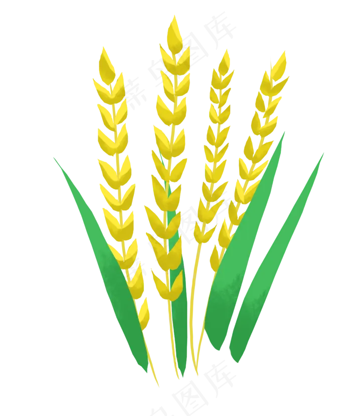 小满节气金色麦穗(2480X2943(DPI:300))psd模版下载