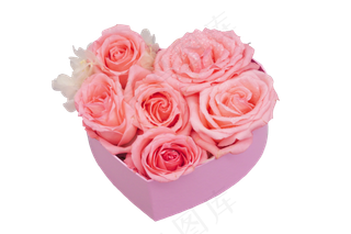 粉色玫瑰花朵