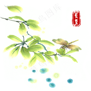 夏至绿叶蜻蜓水墨画