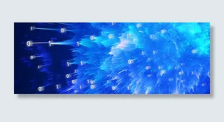 互联网数字数据