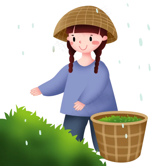 谷雨采茶的小女孩