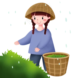 谷雨采茶的小女孩