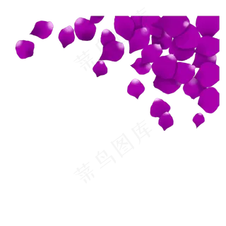 漂浮紫色玫瑰花瓣装饰 漂浮紫色玫瑰花瓣装饰