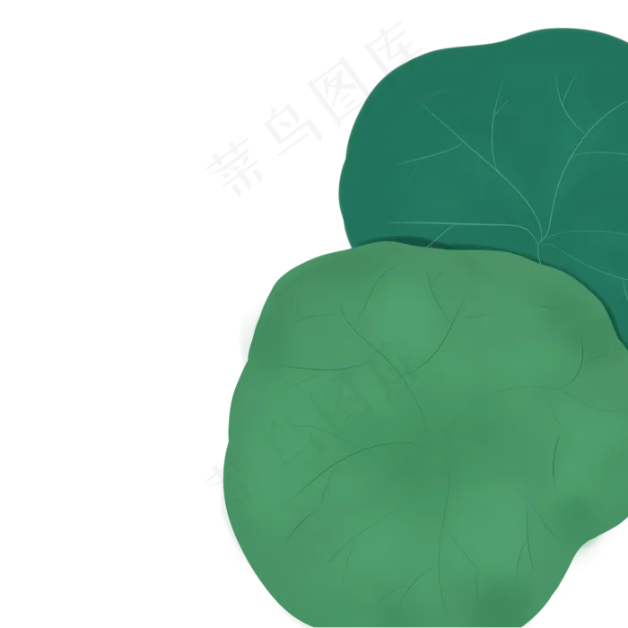 春天植物绿叶下载