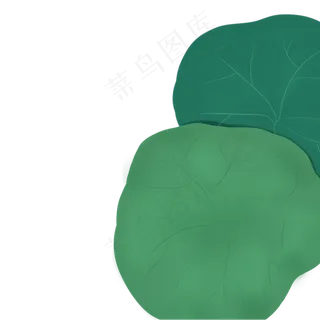 春天植物绿叶下载