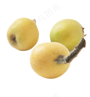 美味的枇杷免抠图