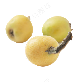 美味的枇杷免抠图