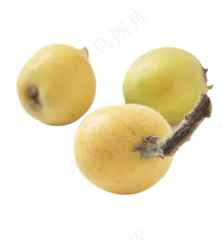 美味的枇杷免抠图
