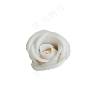 漂亮的粉色玫瑰花素材