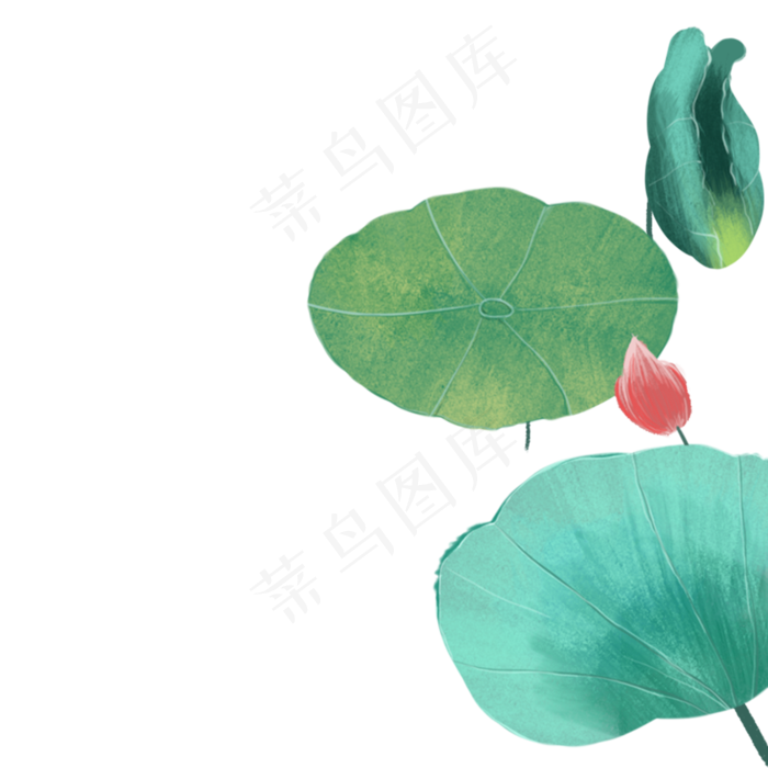 漂亮的荷叶免抠图