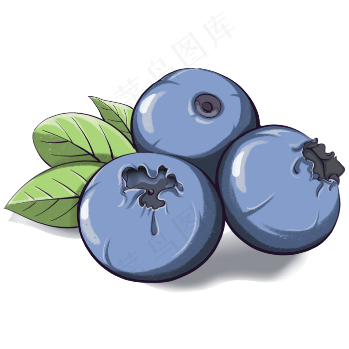 营养丰富的健康水果蓝莓