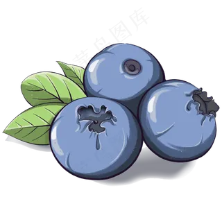 营养丰富的健康水果蓝莓