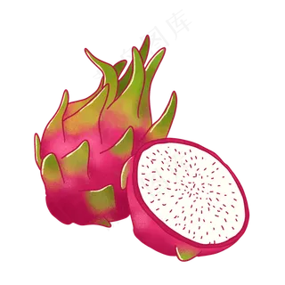写实手绘白心火龙果PNG免抠素材