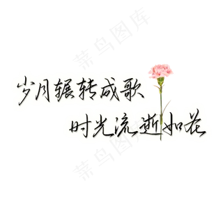 岁月辗转成歌时光流逝文案