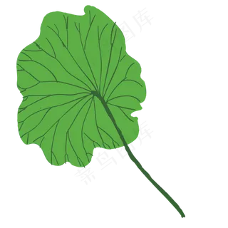 绿色的荷叶免抠图