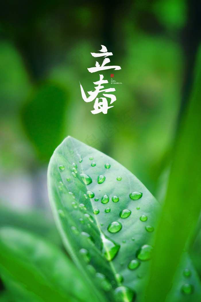 绿色24节气春分开春宣传背景