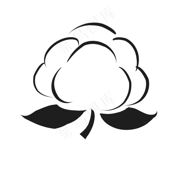 盛开的棉花花朵图