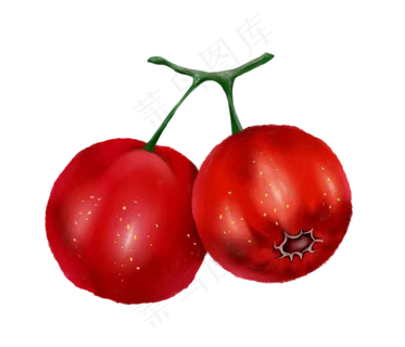 冬季食物山楂卡通,免抠元素