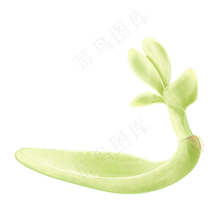 绿色发芽多肉植物