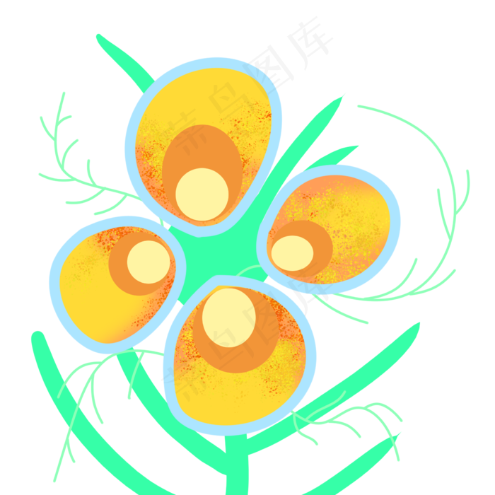 美丽的油菜花插画