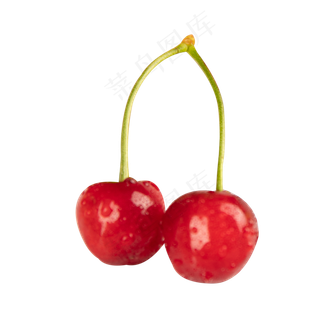红色樱桃水果实拍