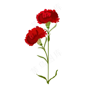 深红色母亲节康乃馨免抠素材