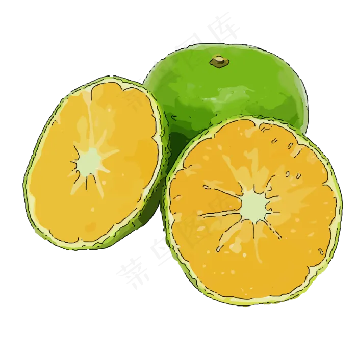 水彩风格柑橘水果元素(2000X2000(DPI:300))ai矢量模版下载