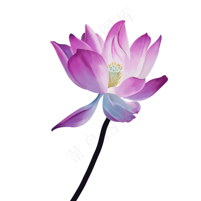 卡通手绘莲花元素(2000X2000(DPI:300))psd模版下载