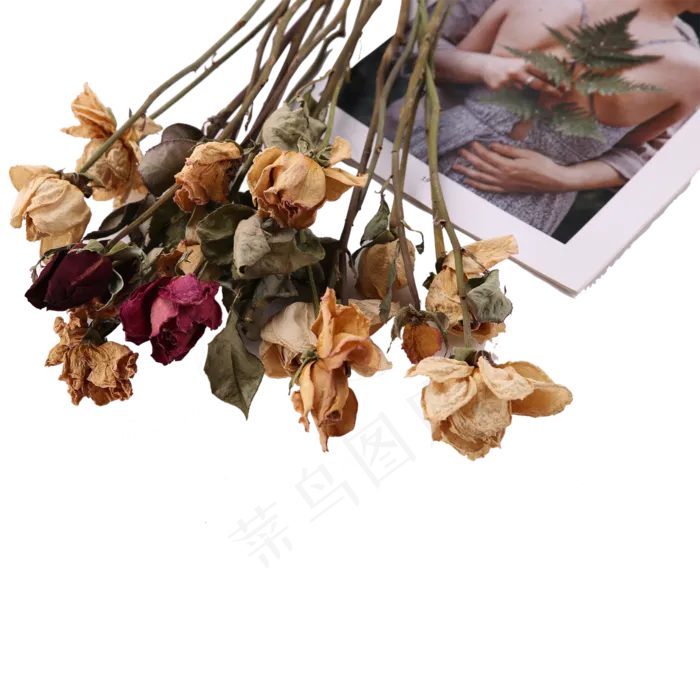 一束干花杂志(1500X1500(DPI:300))psd模版下载