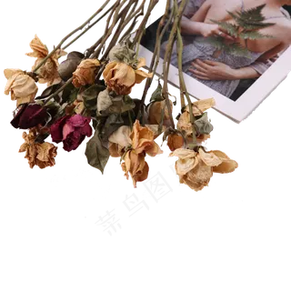 一束干花杂志 一束干花杂志