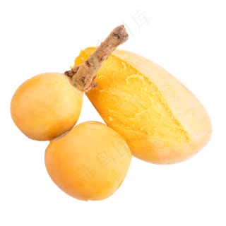 芒果枇杷黄色水果