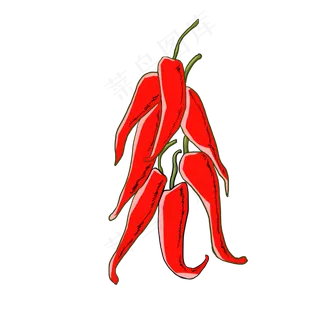辣椒装饰生长自然蔬菜种植