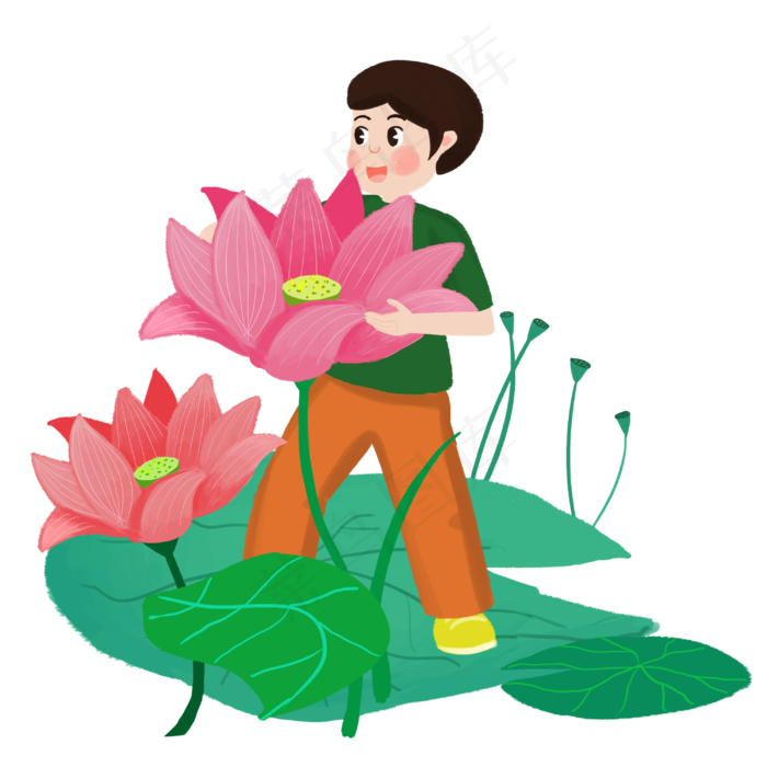 男孩采摘粉红荷花