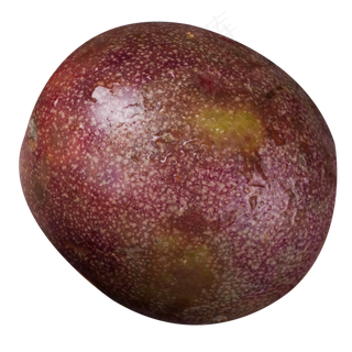 实拍果树百香果果实