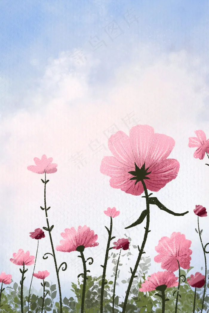 盛开在天空下粉色的花朵