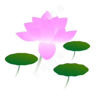 荷花荷叶矢量素材