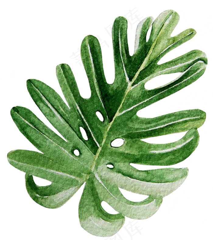 绿色手绘树叶植物,免抠元素(3136X2911(DPI:300))