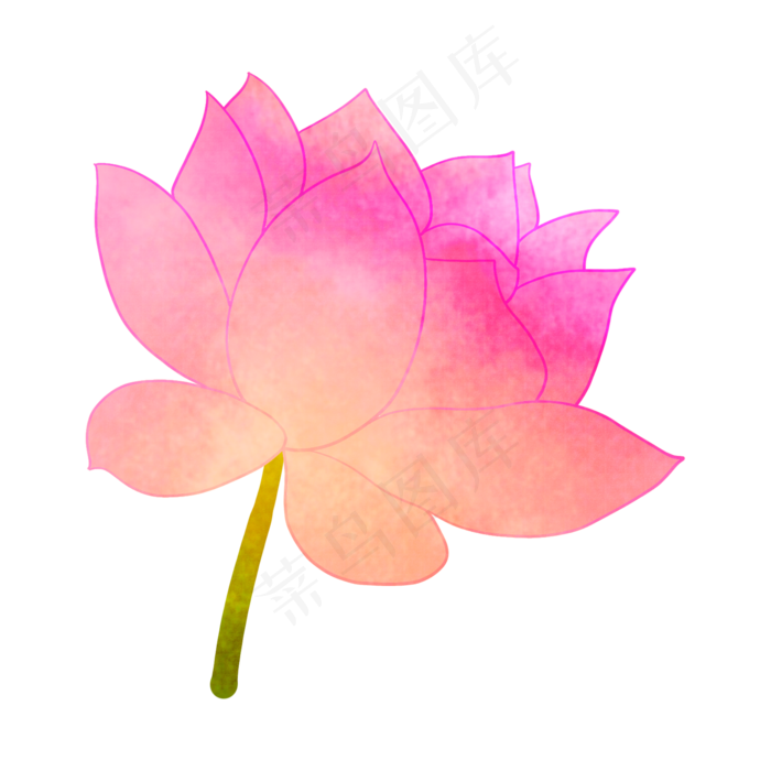 一枝红色荷花插画