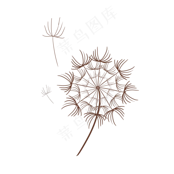 蒲公英花(2000X2000(DPI:72))psd模版下载
