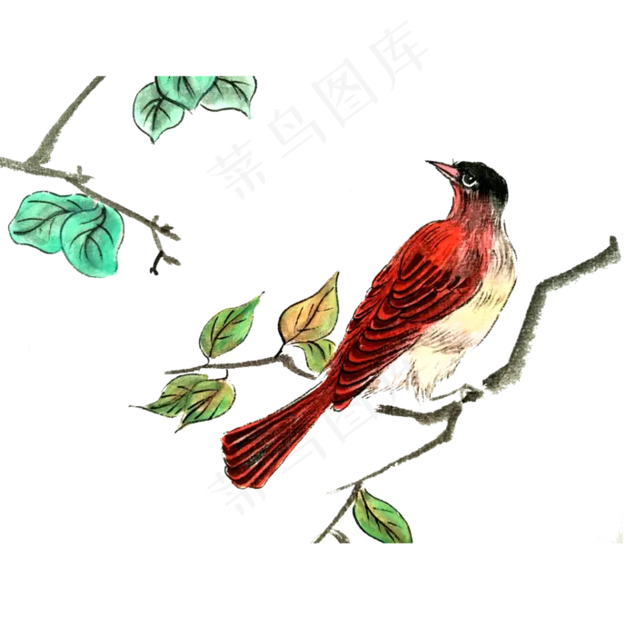 国画水墨雀鸟红色春色树枝PNG,免抠元素(4000X4000(DPI:300))psd模版下载
